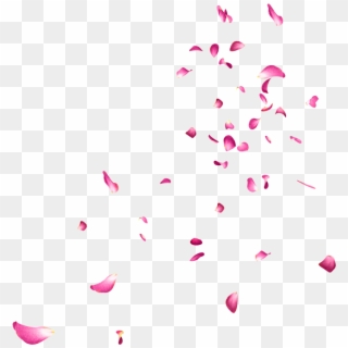 Falling Rose Petals Png Picture - Yesung, Transparent Png