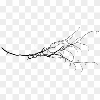 Free Png Tree Branch Png - Free Tree Branch Transparent, Png Download