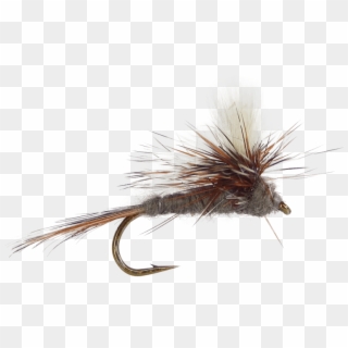 Trout Clipart Fly Fishing Flies - Adams, HD Png Download