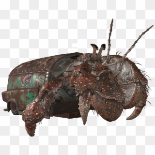 Alpha Hermit Crab - Fallout 76 Hermit Crab, HD Png Download