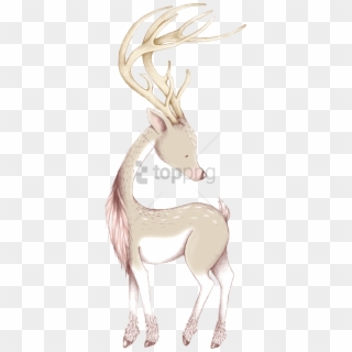 Free Png Cute Christmas Deer Ornaments & Oval Ornament - Reindeer, Transparent Png