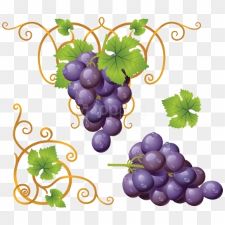 Free Png Download Grapes Clipart Png Photo Png Images - Transparent Grapes Clipart Png, Png Download
