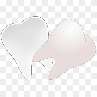 This Free Icons Png Design Of Tooth Cut In Half, Transparent Png