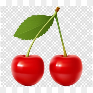 Cherry Png Clipart Cherry Pie Sour Cherry Cherries, Transparent Png