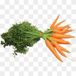 Fresh Carrot Png Image - Carrot, Transparent Png