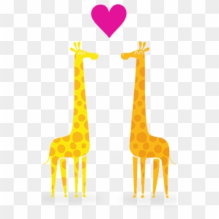 Click And Drag To Re-position The Image, If Desired - Couple Of Giraffe Png, Transparent Png