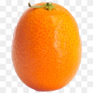 Whole Kumquat - Kumquat Fruit Png, Transparent Png