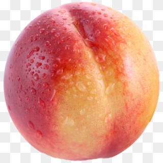 Transparent Nectarine Png Picture - Nectarine Clipart Png, Png Download