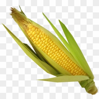 Spinach Corn - Corn Kernels, HD Png Download