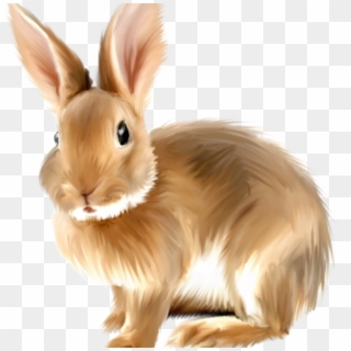 Rabbit Clipart Free Free Png Rabbits Bunnies Transparent - Rabbit Png Clipart, Png Download
