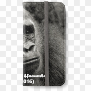 D*cks Out For Harambe - Gorilla, HD Png Download