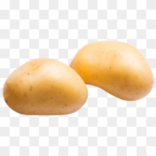 Potatoes - Russet Burbank Potato, HD Png Download