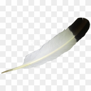 Free Png Download Feather Png Images Background Png - Portable Network Graphics, Transparent Png