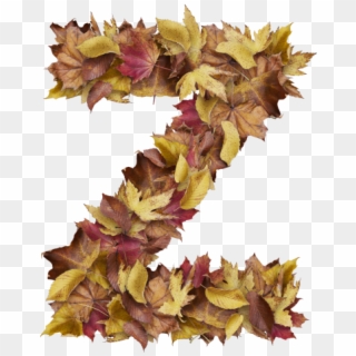 Letter Z From Dry Leaves - Prince Of Wales Feathers, HD Png Download