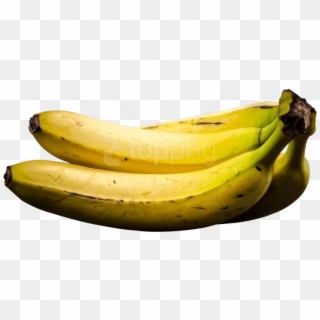 Penca de Banana PNG Transparente Sem Fundo [download] - Designi