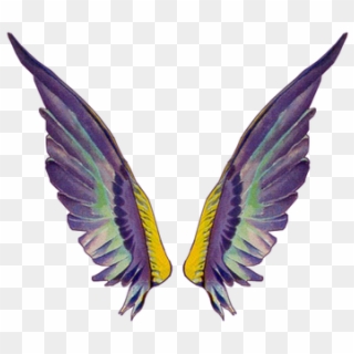 Clip Art Related Wings Transprent Png Free - Fairy Wing Gif Transparent, Png Download