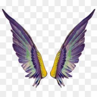 Clip Art Related Wings Transprent Png Free Fairy Wing Gif Transparent Png Download 650x650 Pngfind