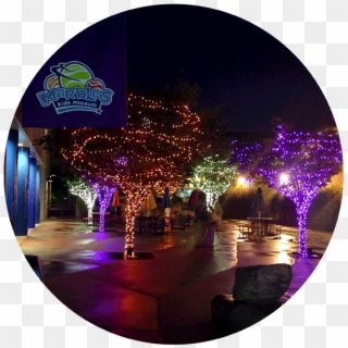 Holiday Lighting - Marbles Kids Museum, HD Png Download