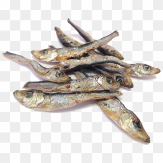 Dried Fish Png - Anchovy, Transparent Png