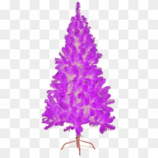 Christmas Tree Nebraska - Transparent Purple Christmas Tree Png, Png Download