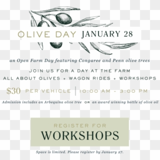 Oliveday-01 - Calligraphy, HD Png Download