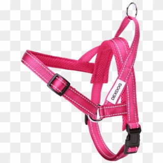 How To Fit Dog Harness, HD Png Download