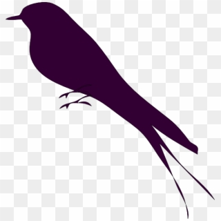 Mockingbird Png - Black And White Love Birds, Transparent Png
