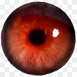 #eye #png #red #edit #transparent #tumblr#freetoedit - Close Up Of An Eye, Png Download