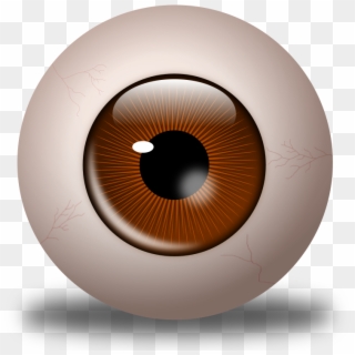 Realistic Clipart Brown Eyeball - Brown Eyeball, HD Png Download