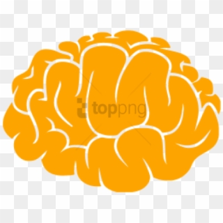 Free Png Brainicon, Transparent Png
