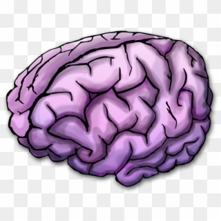 Vector Freeuse Stock Purple Transparent Brain, HD Png Download