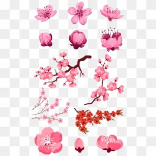 Adobe Download Pink Peach Transprent Png Free - Cherry Blossom Flower Vector, Transparent Png