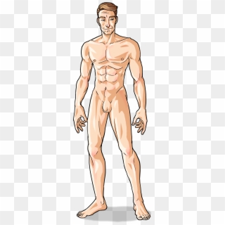 Male Body, HD Png Download