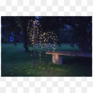 Decorative Tree Weeping Willow - Landscape Lighting, HD Png Download