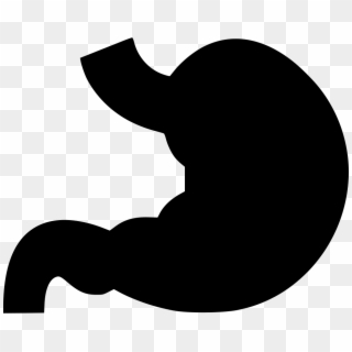 Png File - Stomach Icon Png, Transparent Png