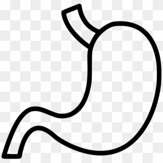 Png File - Stomach Icon Png White, Transparent Png