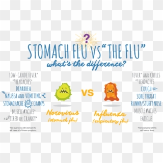 The Difference Between Stomach Flu And - Cartoon, HD Png Download