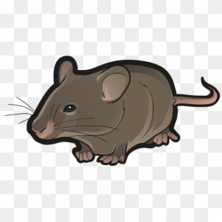 Mouse, HD Png Download