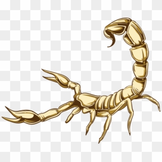 Scorpio Png High-quality Image, Transparent Png