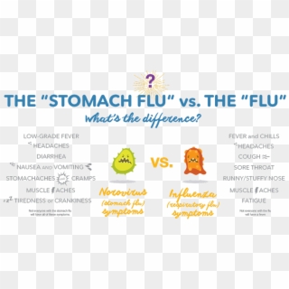 The Difference Between Stomach Flu And - Food Poison Vs Stomach Bug, HD Png Download