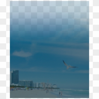 Transparent Png