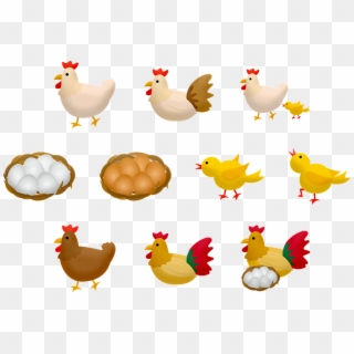 Baby Chick Png, Transparent Png