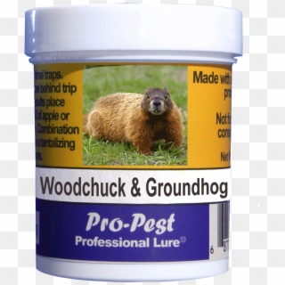 Pro-pest Woodchuck/groundhog Lure Prof 4 Oz Jars 10ct - Squirrel, HD Png Download