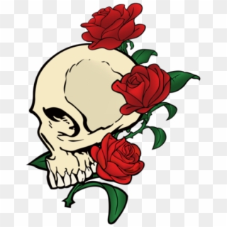 Skull Amp Roses Vector, HD Png Download