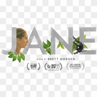 Free Screening Of Jane A National Geographic Film Documentary - Jane Goodall Film, HD Png Download