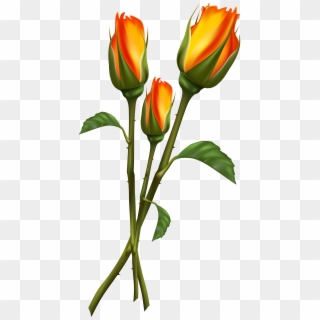 High Quality Images, Clipart, Plants - Tulip Beautiful Flower Drawing, HD Png Download