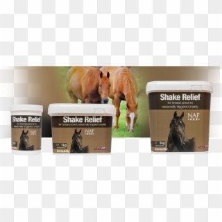 Nutritional Support For Horses Showing Signs Of Seasonal - Sorrel, HD Png Download
