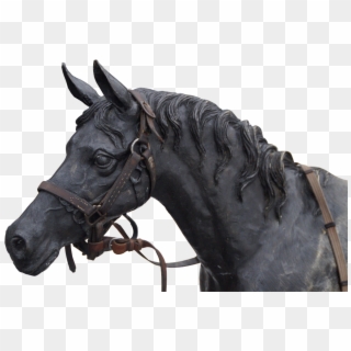 Horse Head Png - Hình Đầu Ngựa Điêu Khắc, Transparent Png