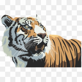 Big Image - Tiger Illustration, HD Png Download