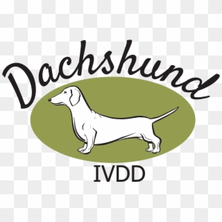 The Dachshund Breed Council Uk - Longdog, HD Png Download